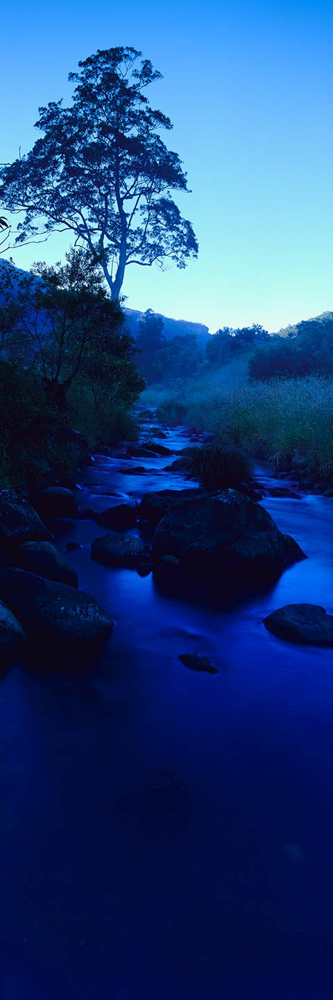 Numinbah Valley, Gold Coast Hinterland - Landscape Photography