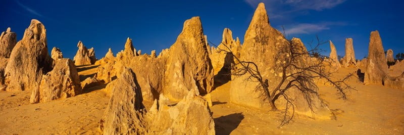 Pinnacles, Western Australia Sunset Photo