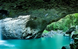 Natural Bridge Springbrook Waterfall