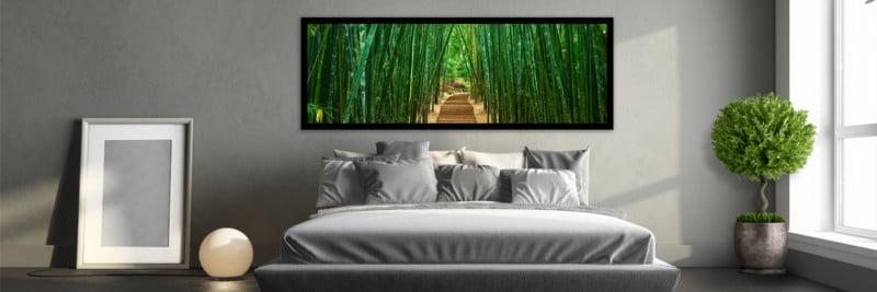 Bamboo Forest - Wall Art
